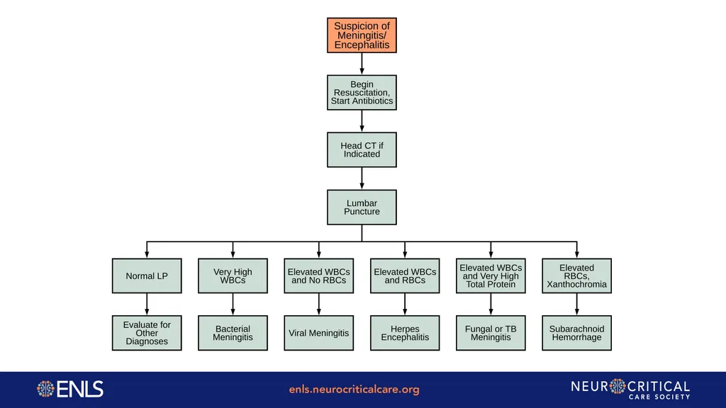 ENLS Version 5.0 Meningitis And Encephalitis - slide 4 of 39