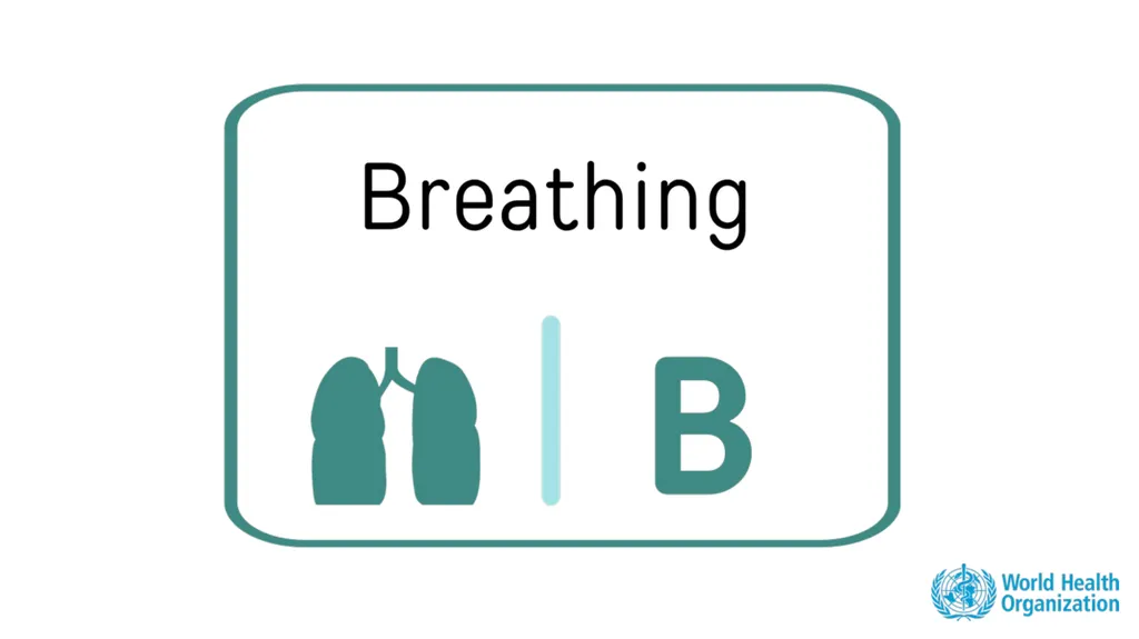 Module 3: CABCDE Approach Community First Aid - slide 18 of 51