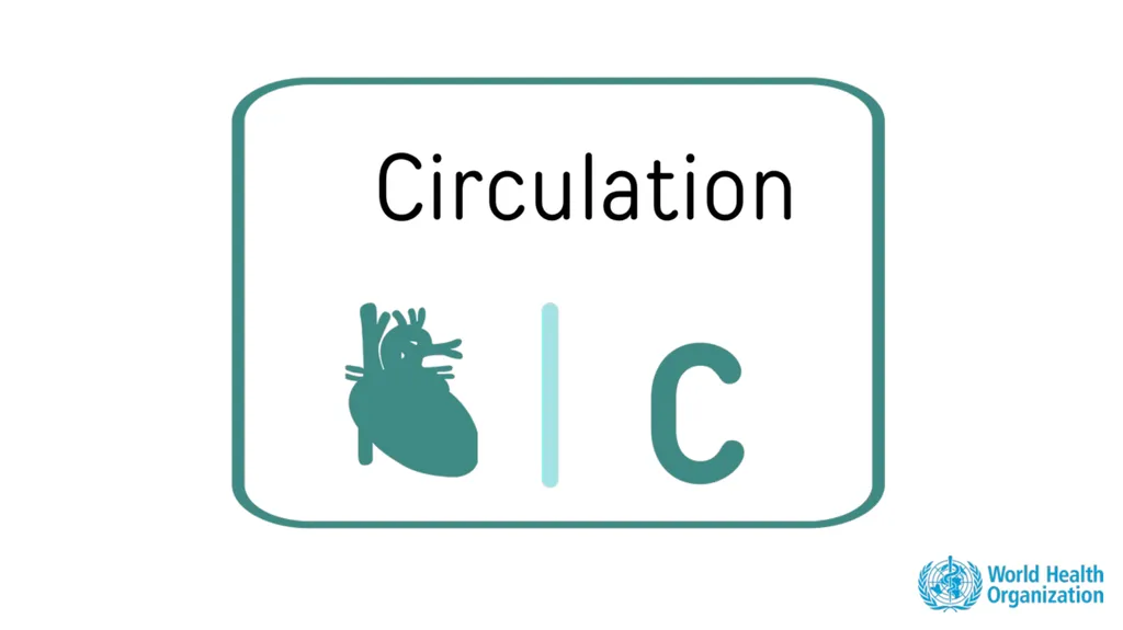 Module 3: CABCDE Approach Community First Aid - slide 23 of 51