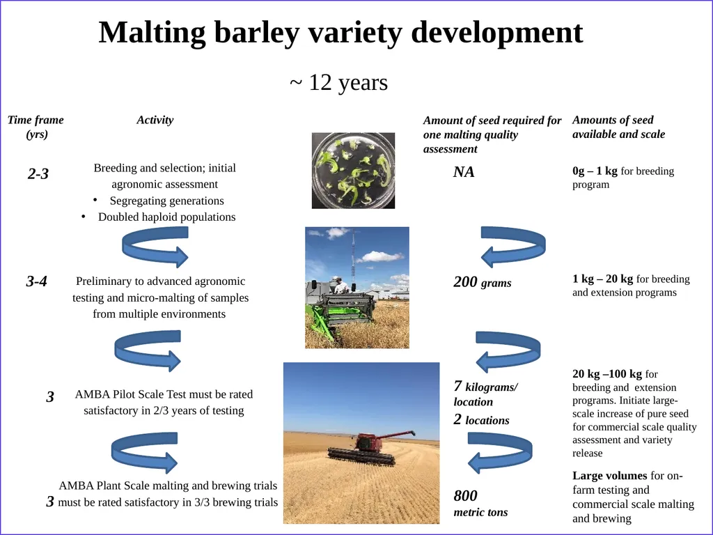 The what, when, why, and how of barley In the - slide 17 of 33