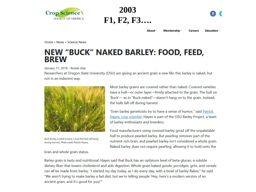 The what, when, why, and how of barley In the - slide 23 of 33