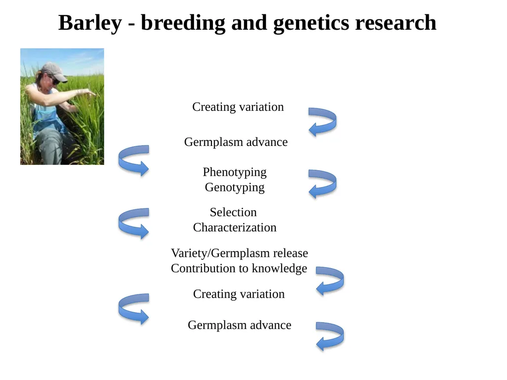 The what, when, why, and how of barley In the - slide 13 of 33