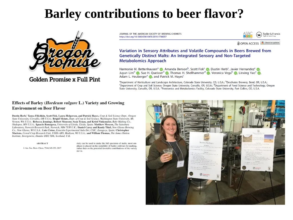 The what, when, why, and how of barley In the - slide 20 of 33