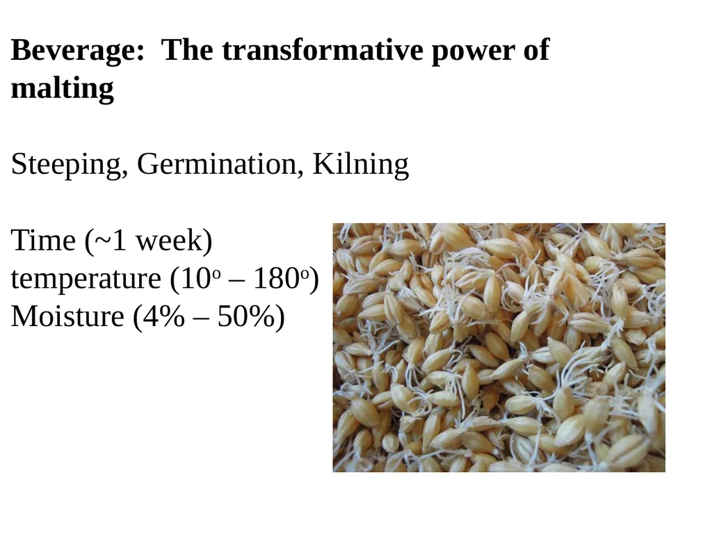 The what, when, why, and how of barley In the - slide 16 of 33