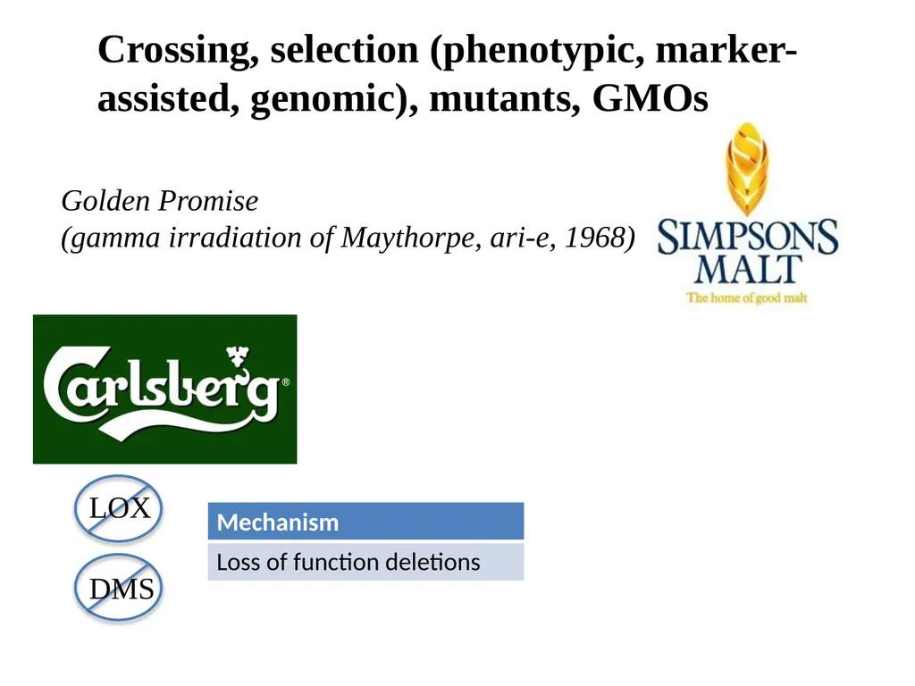 The what, when, why, and how of barley In the - slide 30 of 33