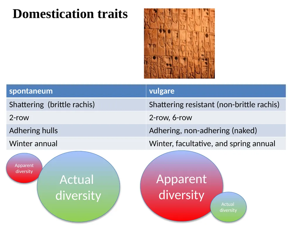 The what, when, why, and how of barley In the - slide 4 of 33
