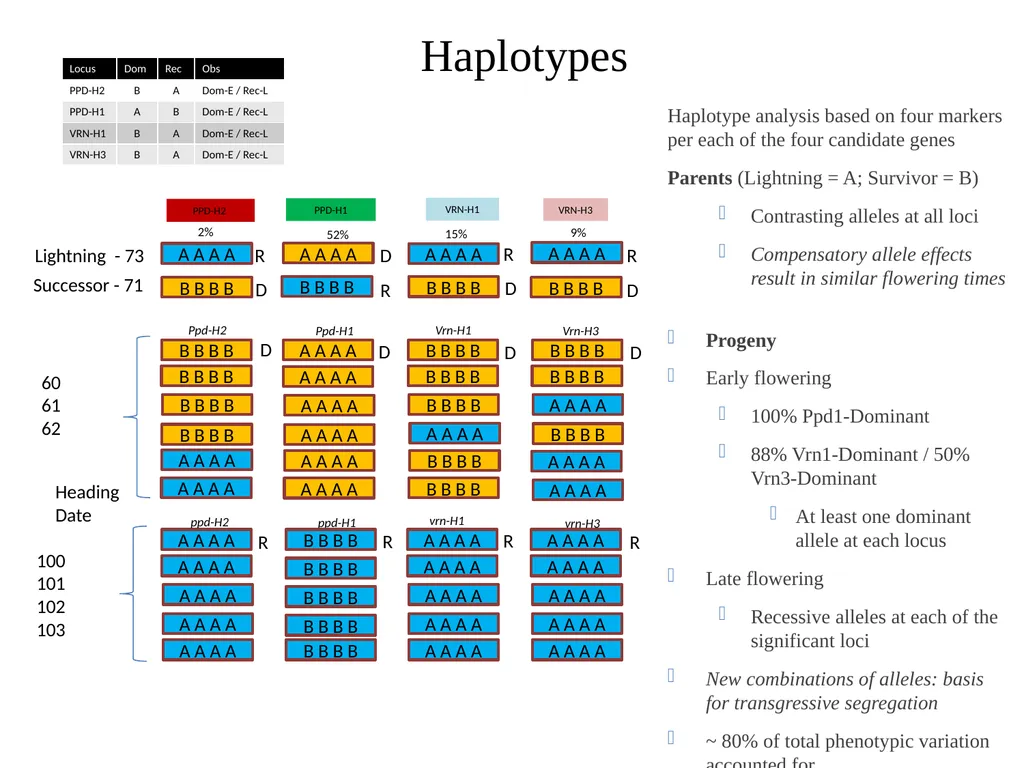 The what, when, why, and how of barley In the - slide 29 of 33