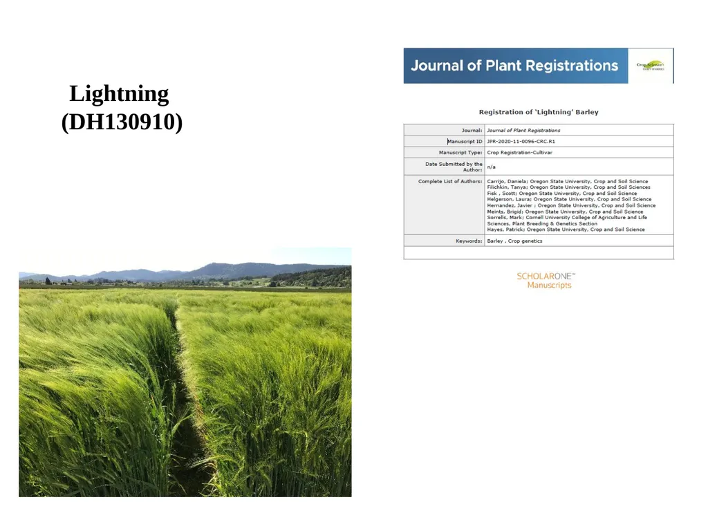 The what, when, why, and how of barley In the - slide 19 of 33