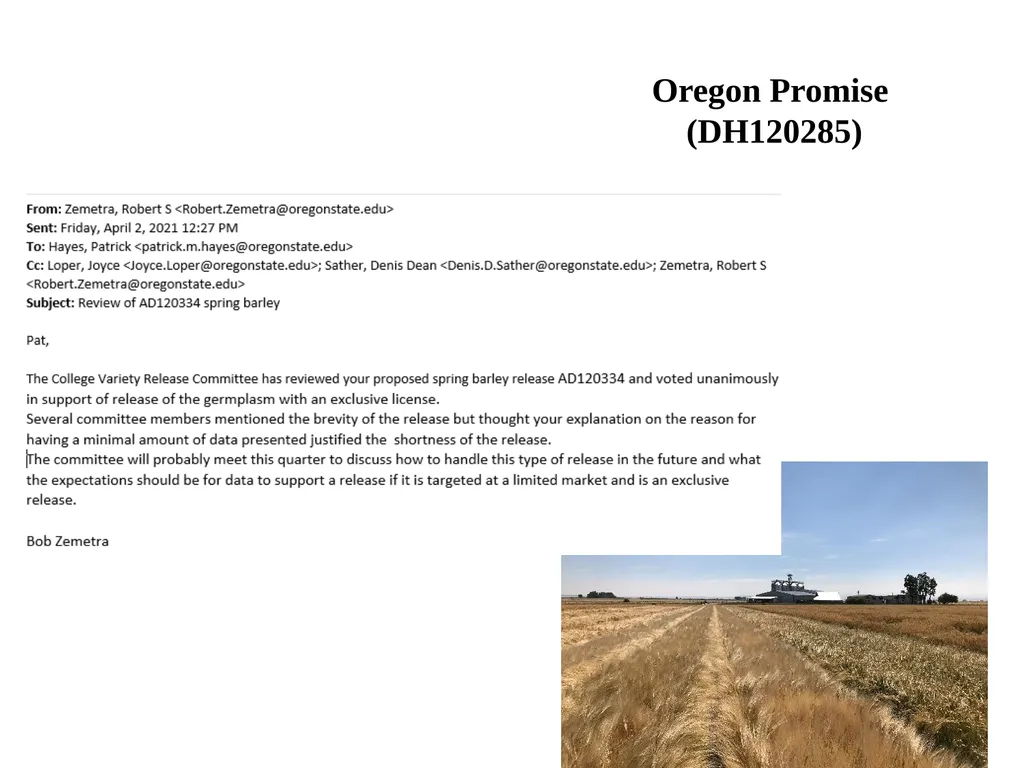 The what, when, why, and how of barley In the - slide 21 of 33