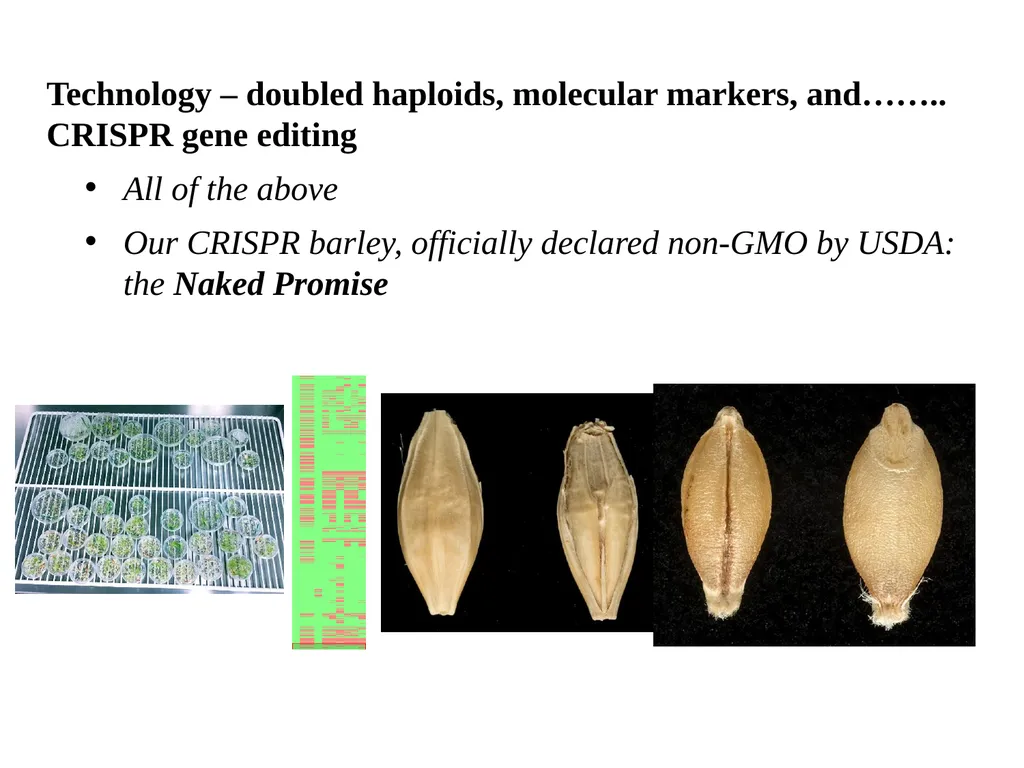 The what, when, why, and how of barley In the - slide 31 of 33