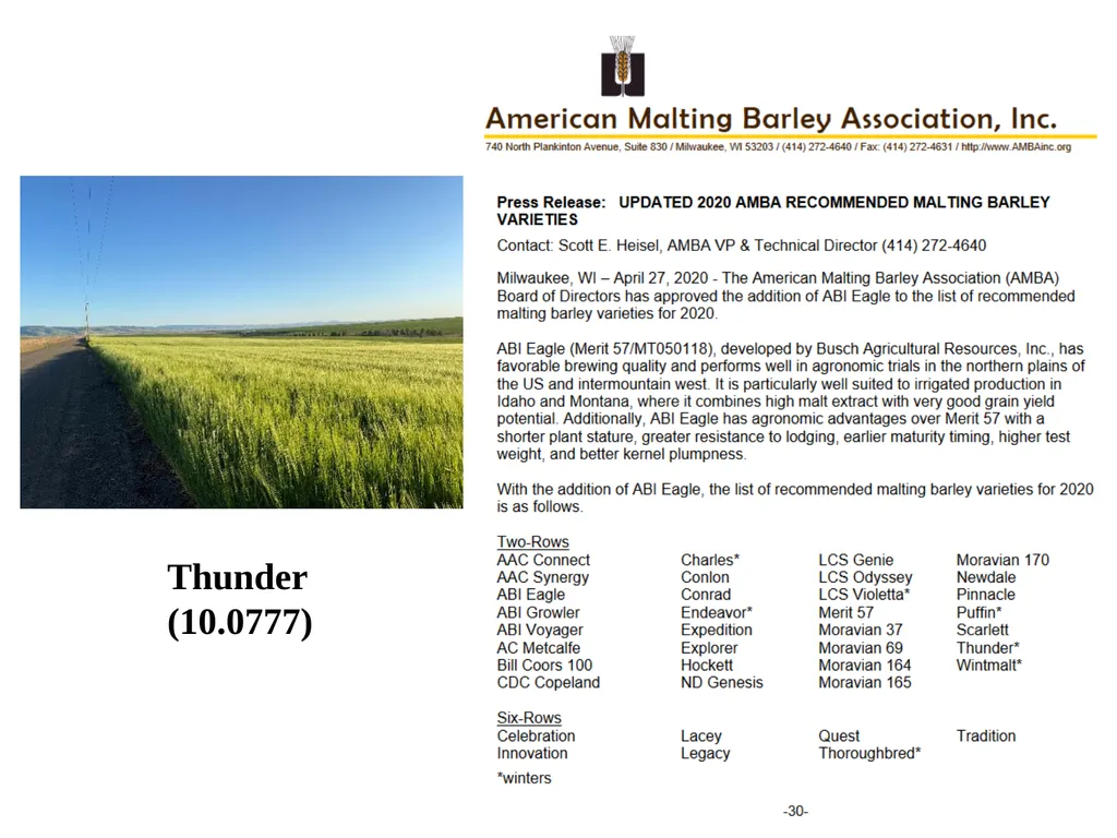 The what, when, why, and how of barley In the - slide 18 of 33
