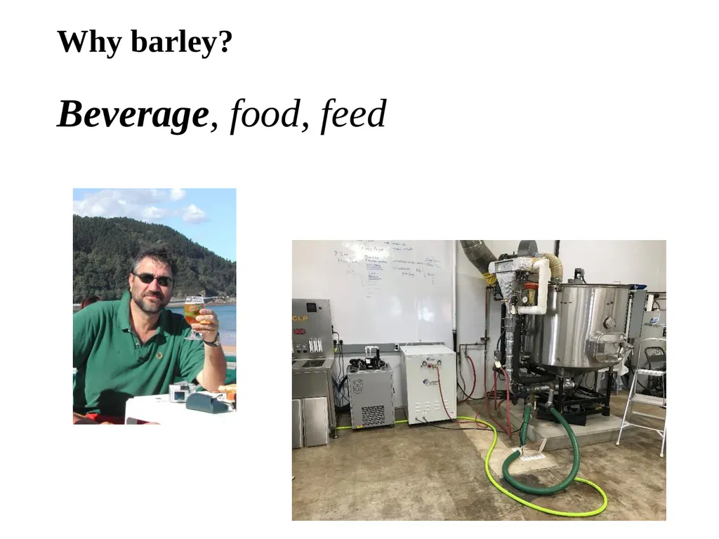 The what, when, why, and how of barley In the - slide 15 of 33
