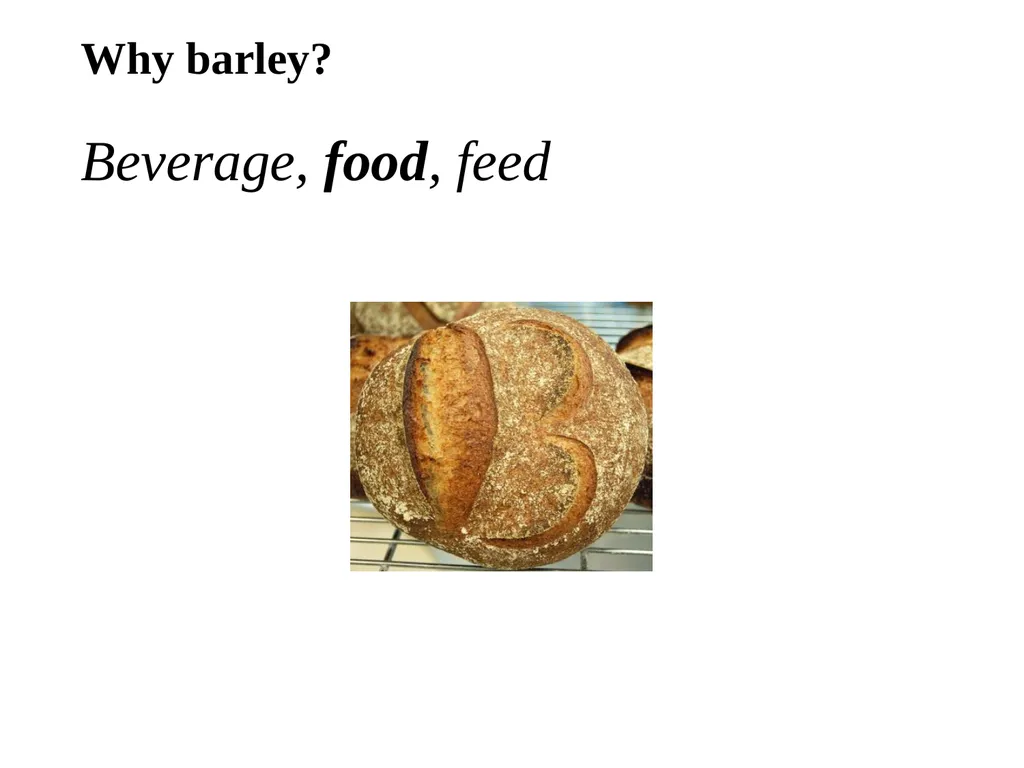 The what, when, why, and how of barley In the - slide 22 of 33