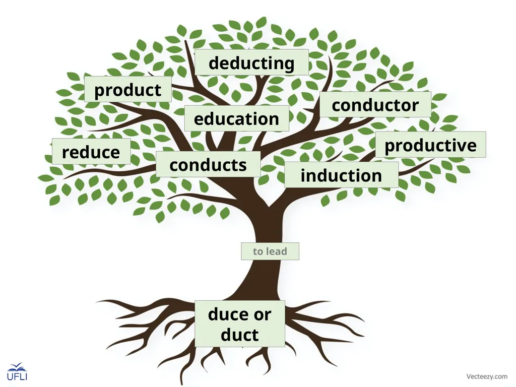 Morpheme Trees Activity: Review the meanings of - slide 16 of 22