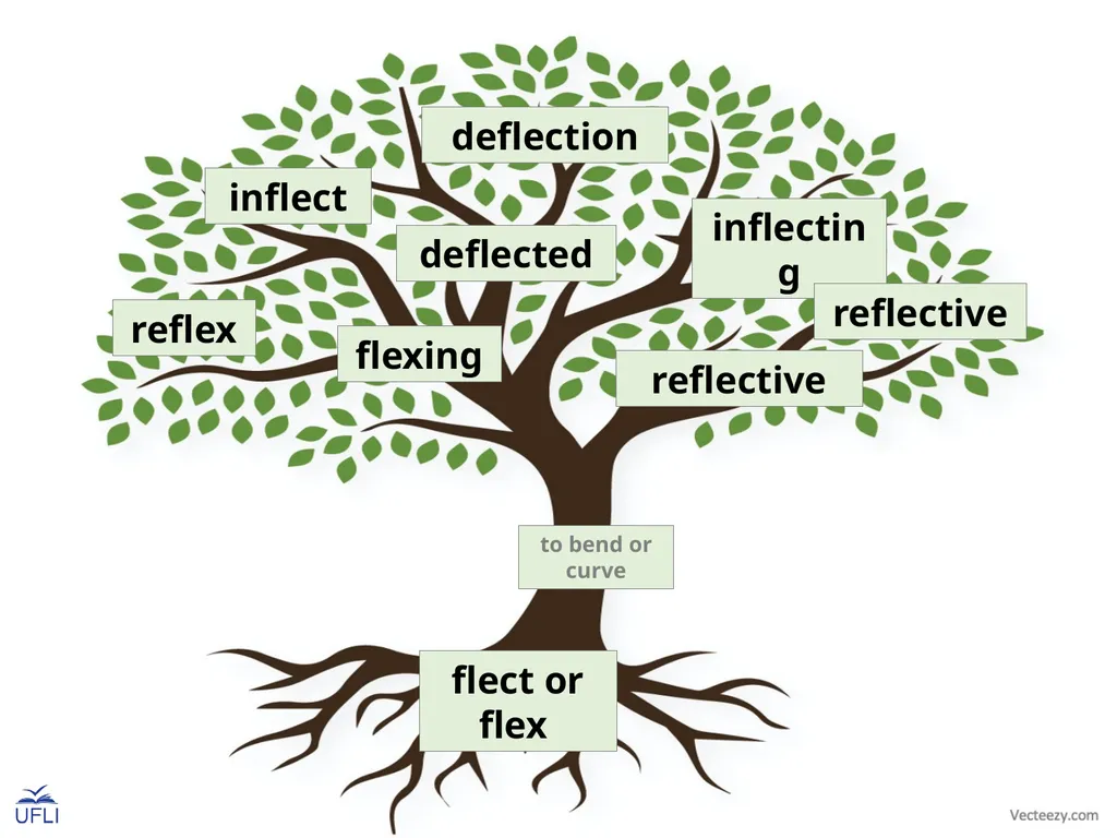 Morpheme Trees Activity: Review the meanings of - slide 12 of 22