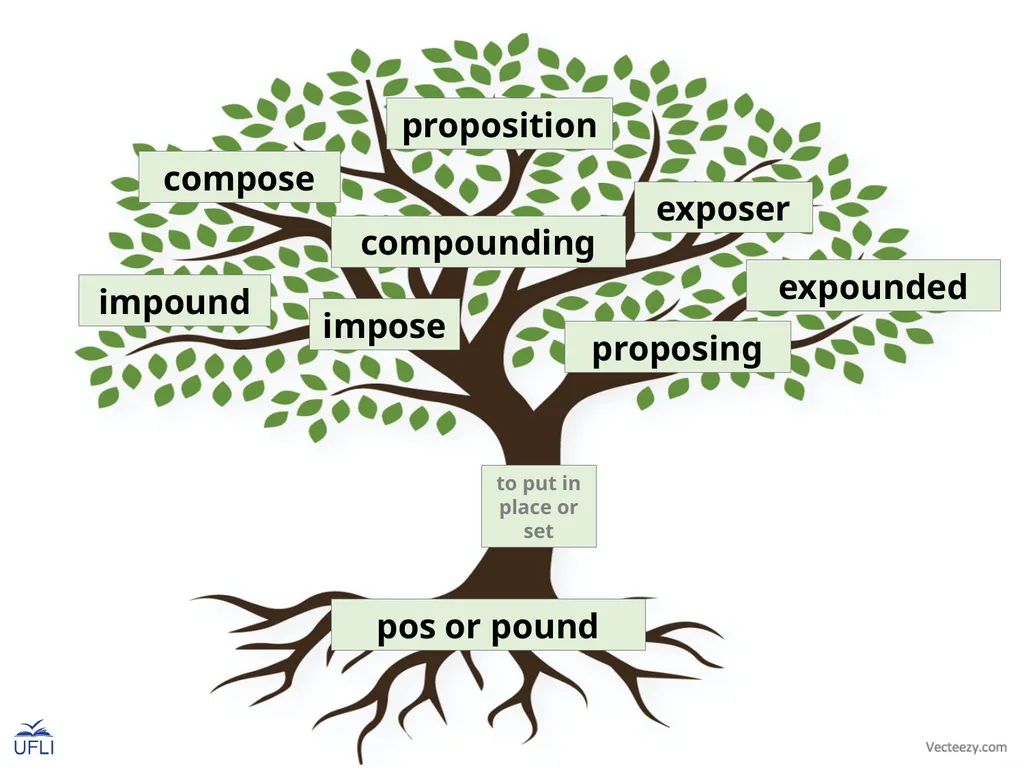 Morpheme Trees Activity: Review the meanings of - slide 22 of 22
