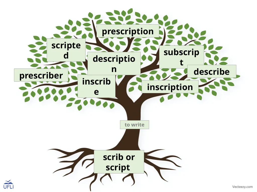 Morpheme Trees Activity: Review the meanings of - slide 9 of 22