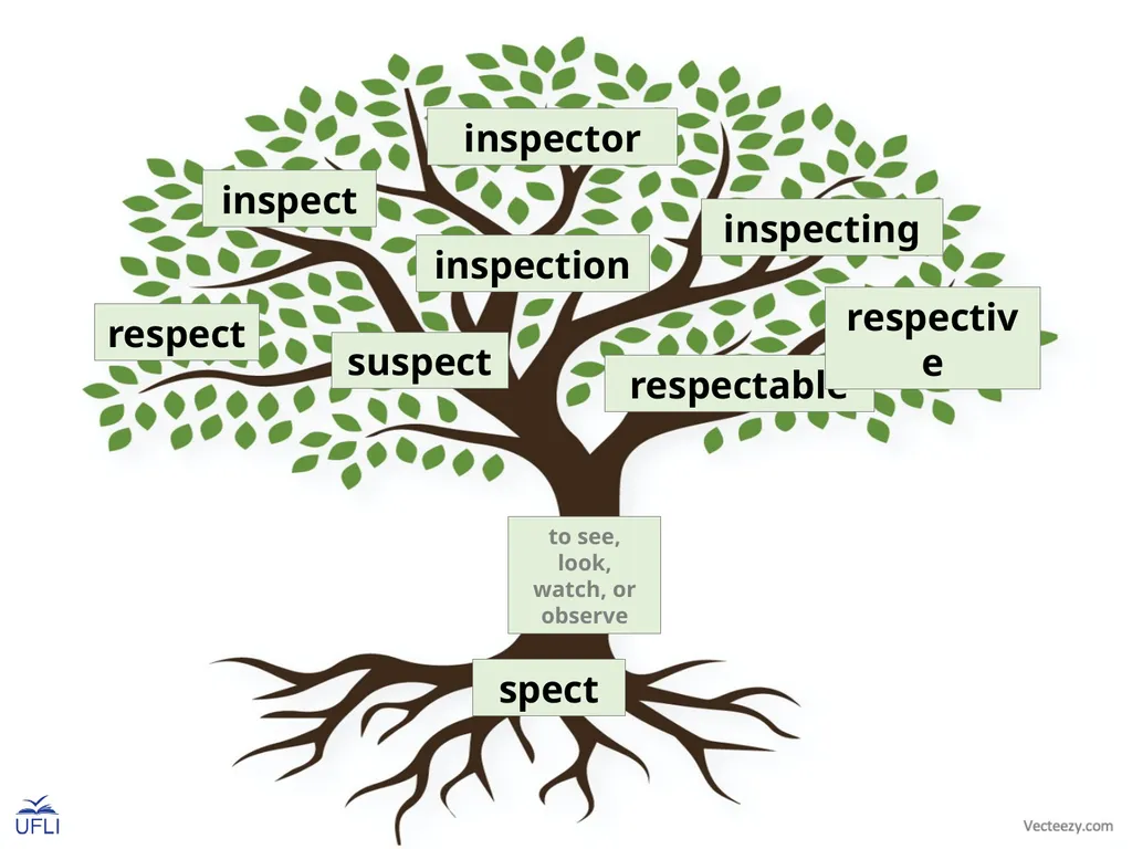 Morpheme Trees Activity: Review the meanings of - slide 10 of 22
