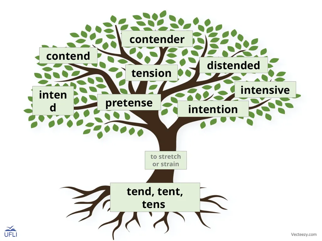Morpheme Trees Activity: Review the meanings of - slide 19 of 22