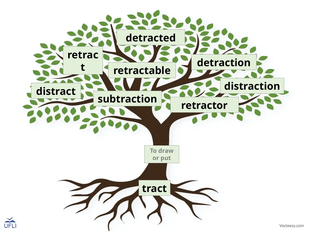 Morpheme Trees Activity: Review the meanings of - slide 8 of 22