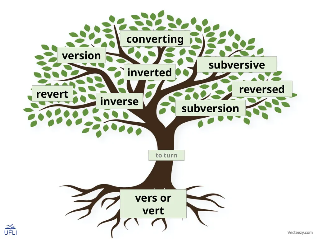 Morpheme Trees Activity: Review the meanings of - slide 17 of 22