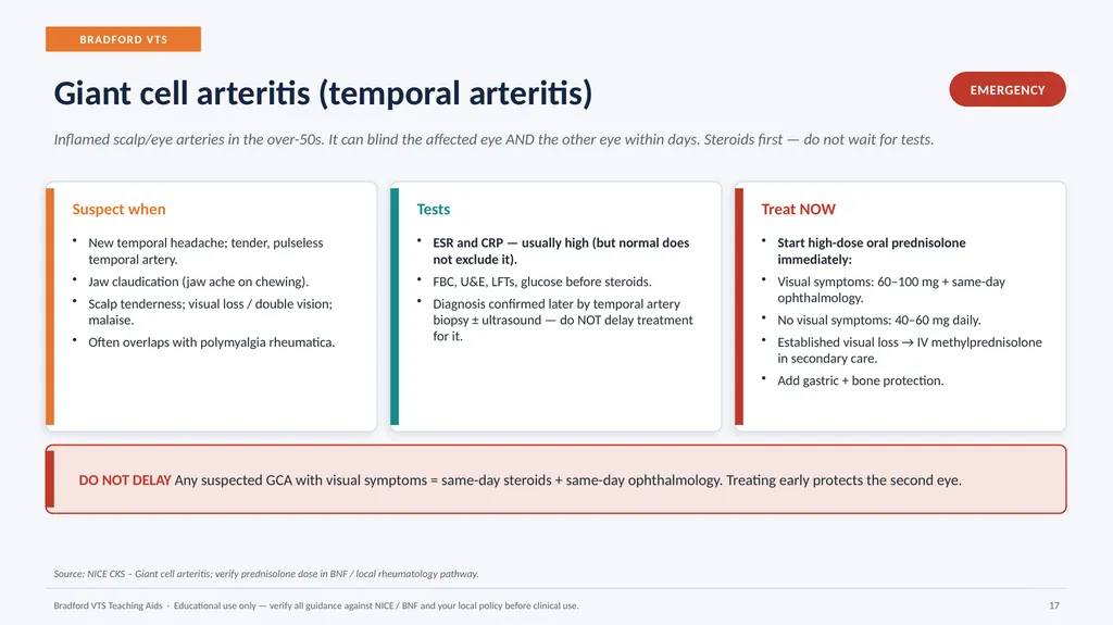 BRADFORD VTS TEACHING AIDS Eye Emergencies in - slide 17 of 36