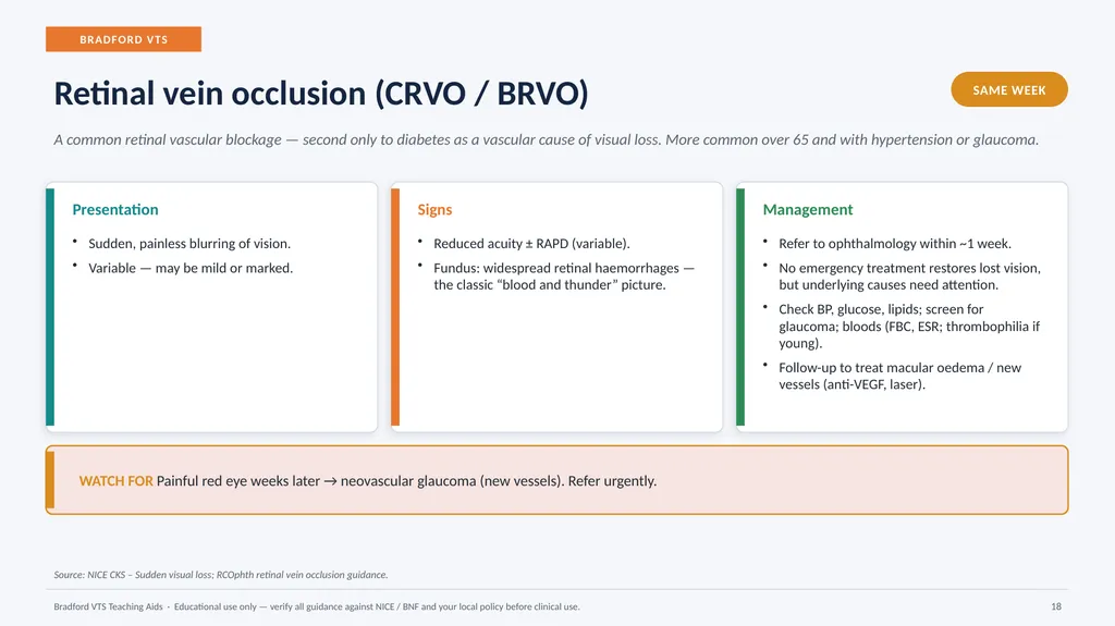 BRADFORD VTS TEACHING AIDS Eye Emergencies in - slide 18 of 36