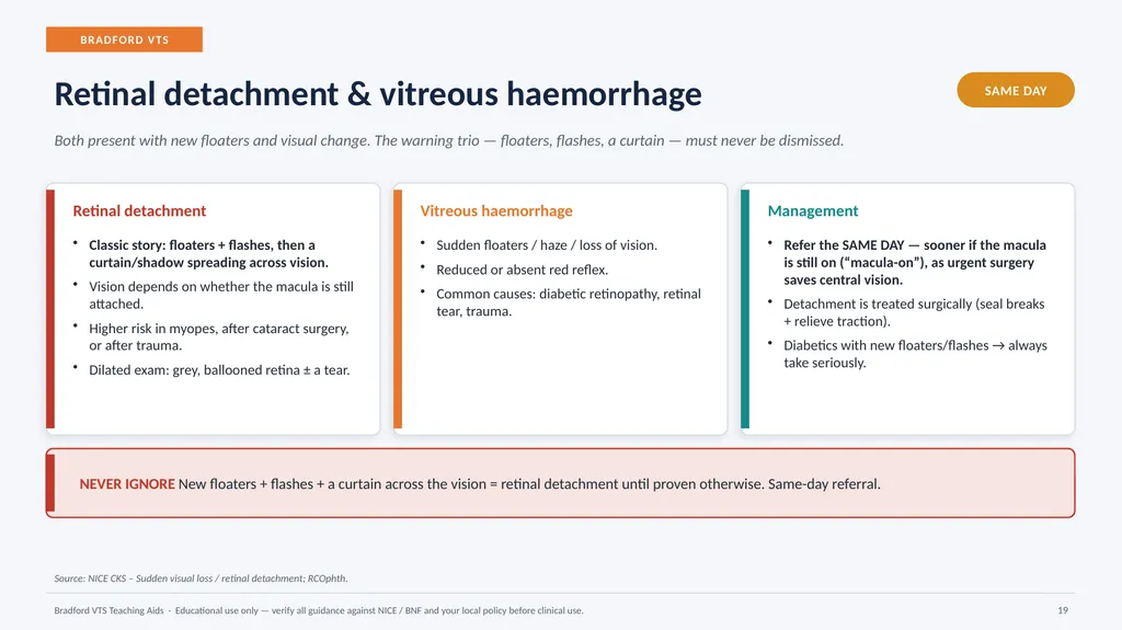 BRADFORD VTS TEACHING AIDS Eye Emergencies in - slide 19 of 36