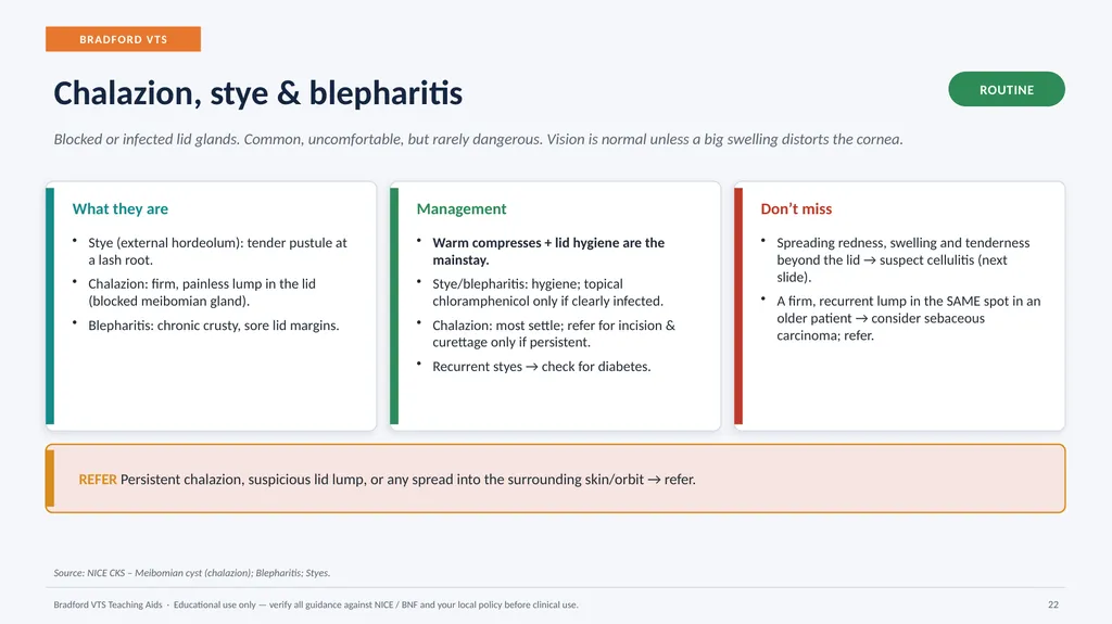 BRADFORD VTS TEACHING AIDS Eye Emergencies in - slide 22 of 36