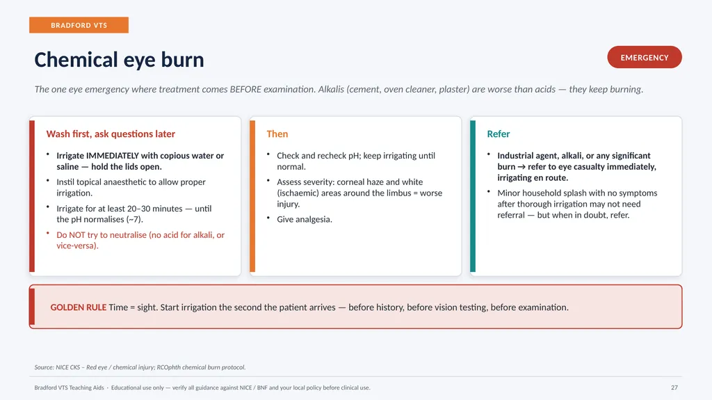 BRADFORD VTS TEACHING AIDS Eye Emergencies in - slide 27 of 36