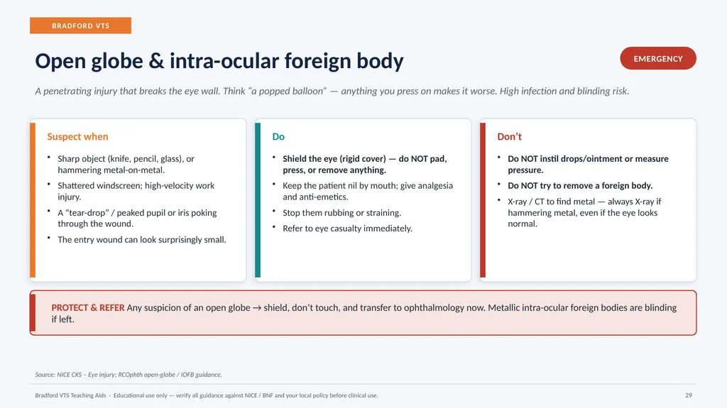BRADFORD VTS TEACHING AIDS Eye Emergencies in - slide 29 of 36