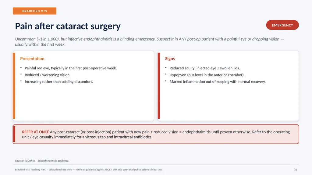 BRADFORD VTS TEACHING AIDS Eye Emergencies in - slide 31 of 36