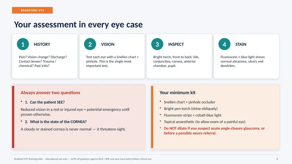 BRADFORD VTS TEACHING AIDS Eye Emergencies in - slide 6 of 36