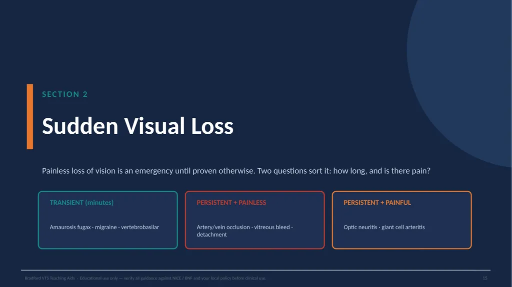 BRADFORD VTS TEACHING AIDS Eye Emergencies in - slide 15 of 36