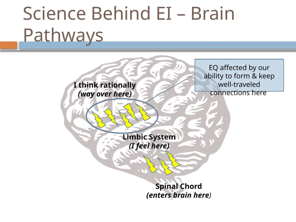 Emotional Intelligence Emotional Intelligence (EI) - slide 6 of 26