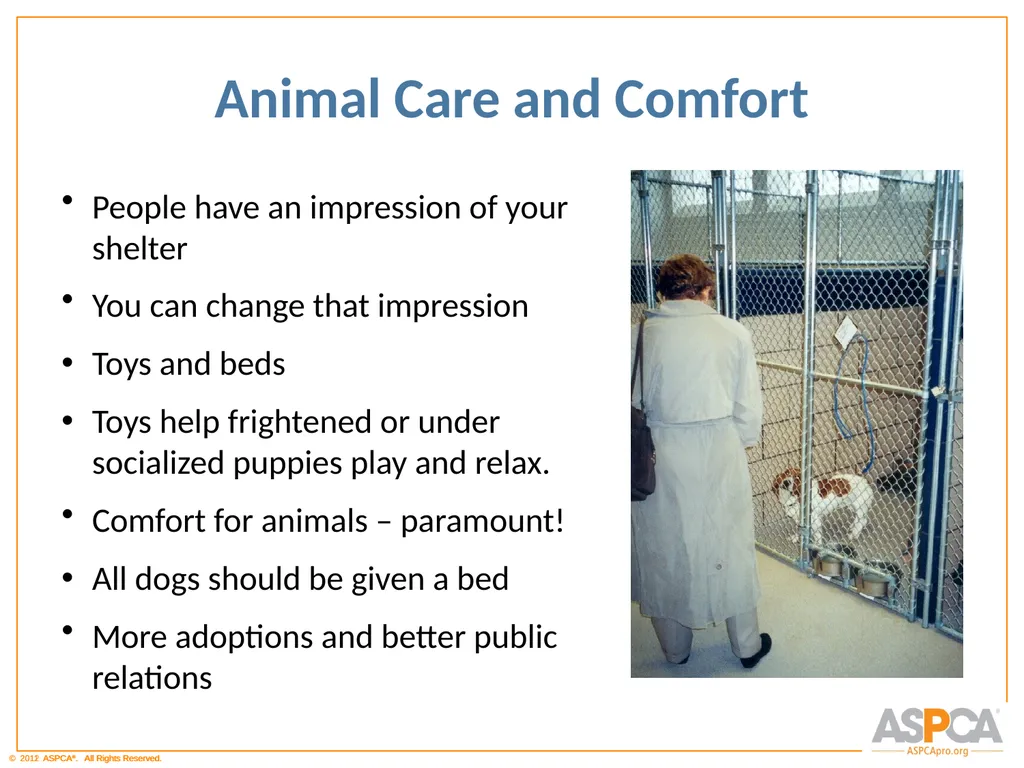 Basic Orientation for Staff and Volunteers - slide 29 of 40