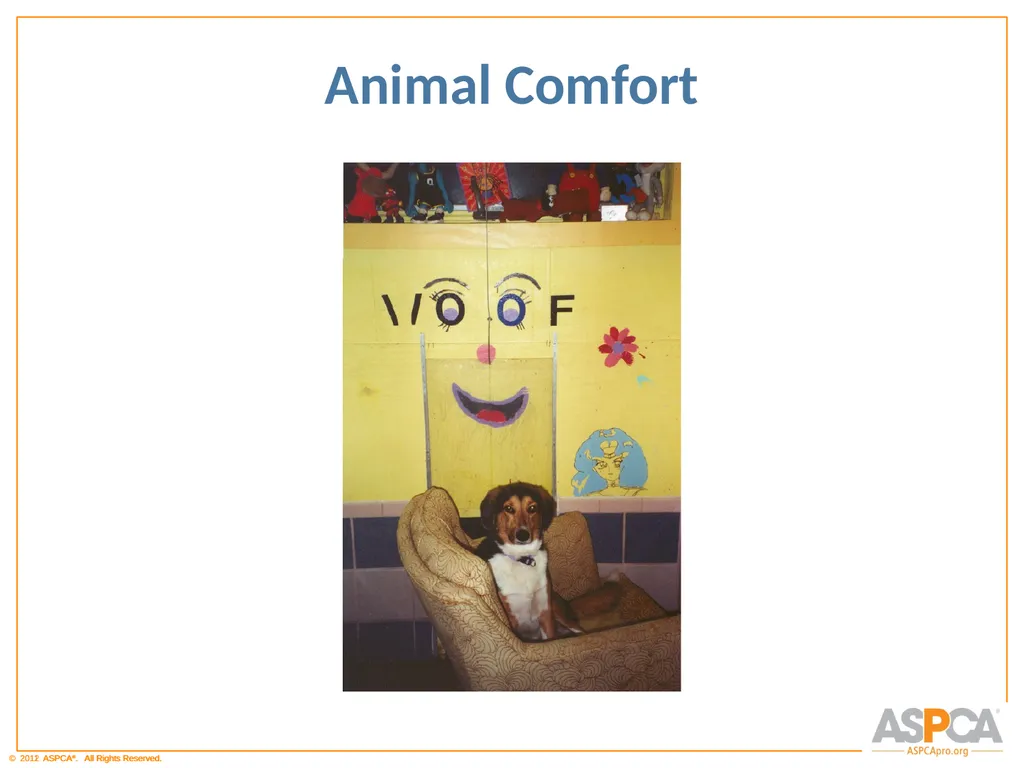 Basic Orientation for Staff and Volunteers - slide 28 of 40