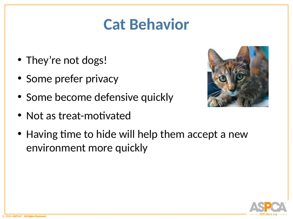 Basic Orientation for Staff and Volunteers - slide 37 of 40