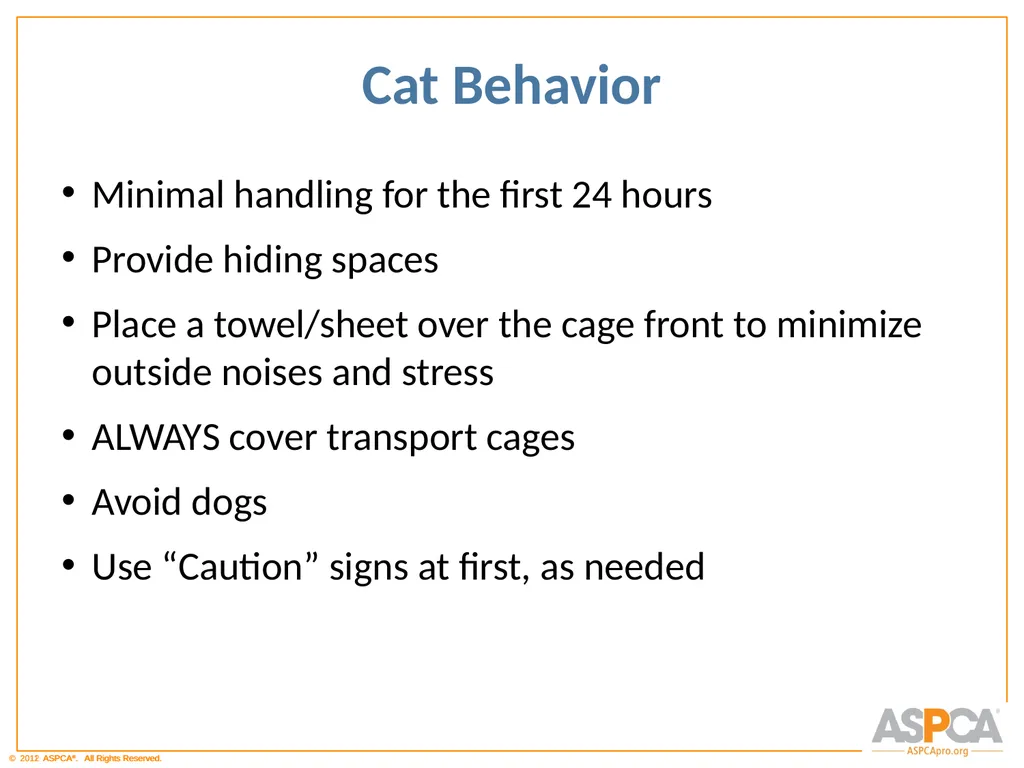 Basic Orientation for Staff and Volunteers - slide 38 of 40