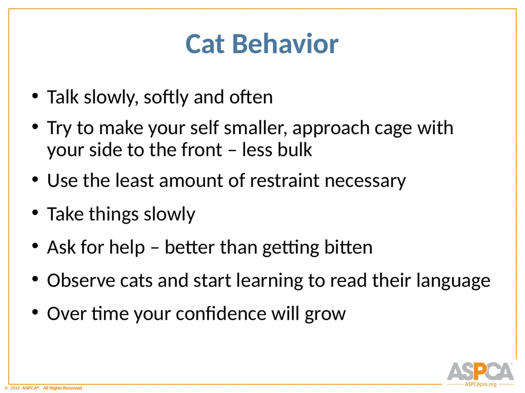 Basic Orientation for Staff and Volunteers - slide 39 of 40
