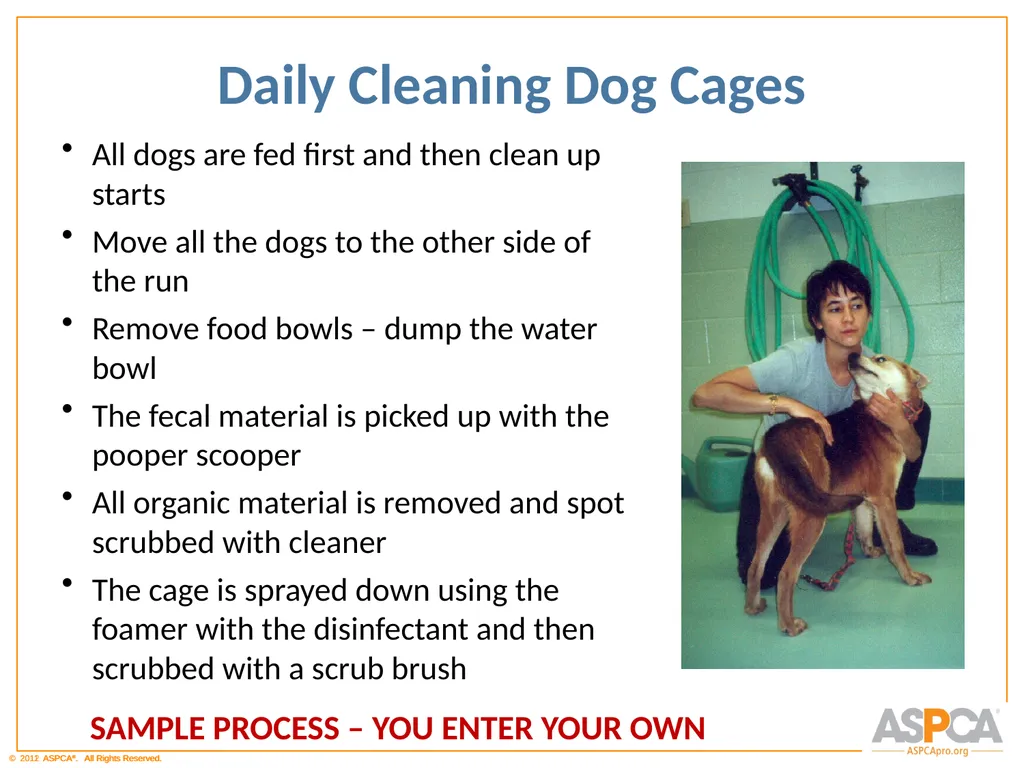 Basic Orientation for Staff and Volunteers - slide 25 of 40