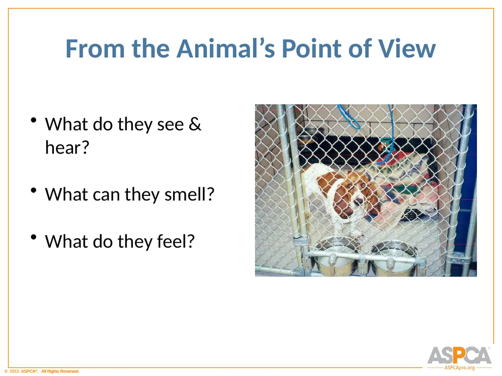 Basic Orientation for Staff and Volunteers - slide 30 of 40