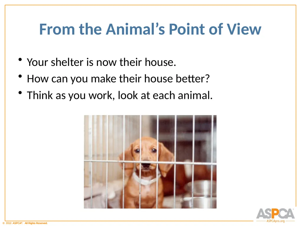 Basic Orientation for Staff and Volunteers - slide 31 of 40