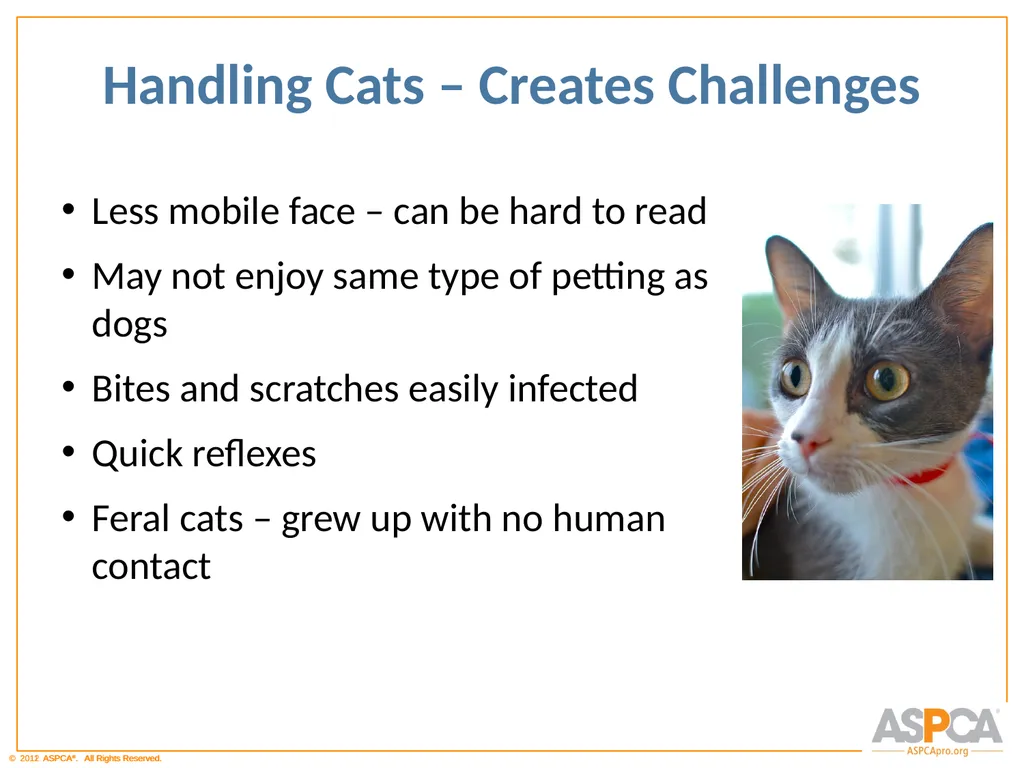 Basic Orientation for Staff and Volunteers - slide 36 of 40