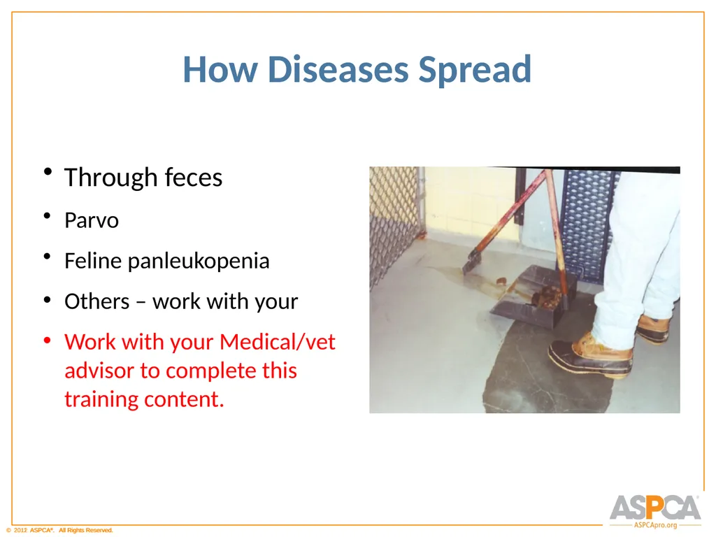 Basic Orientation for Staff and Volunteers - slide 16 of 40