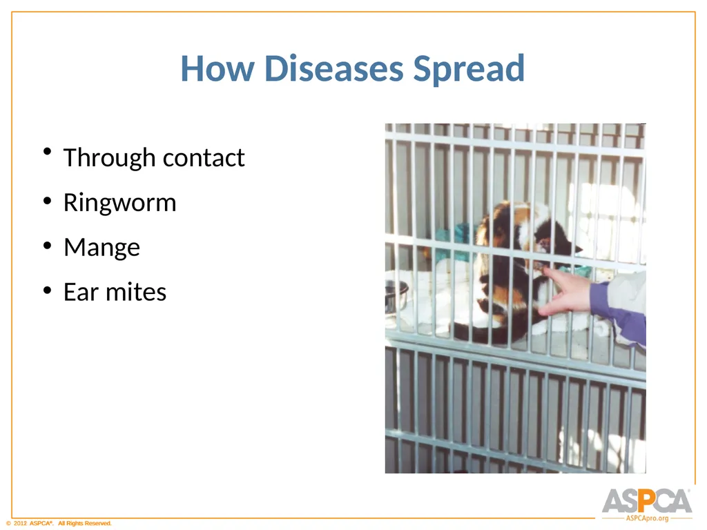 Basic Orientation for Staff and Volunteers - slide 18 of 40