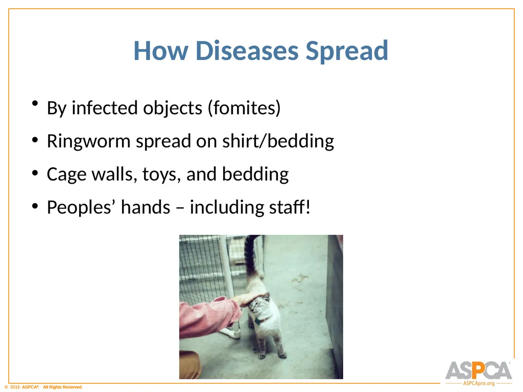 Basic Orientation for Staff and Volunteers - slide 19 of 40
