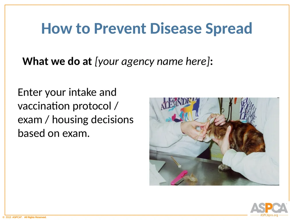 Basic Orientation for Staff and Volunteers - slide 20 of 40
