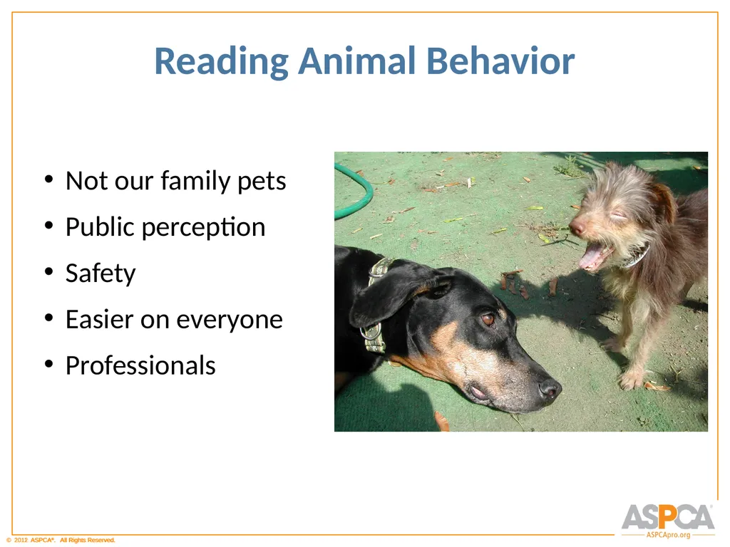 Basic Orientation for Staff and Volunteers - slide 33 of 40
