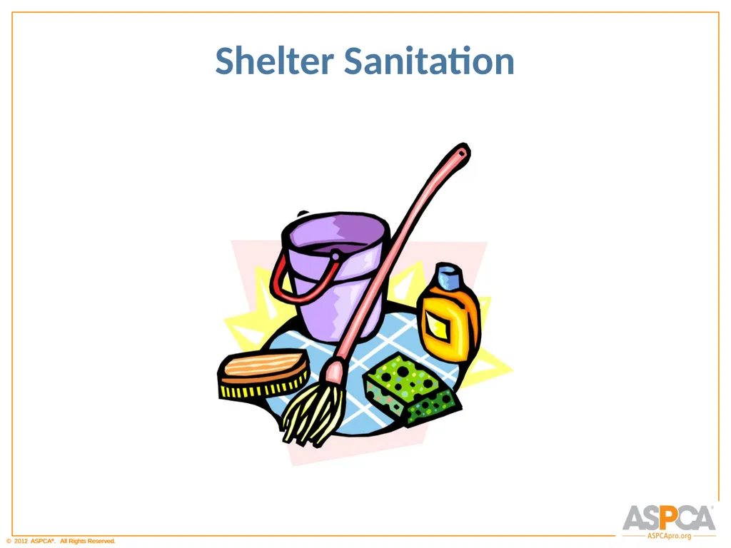 Basic Orientation for Staff and Volunteers - slide 21 of 40
